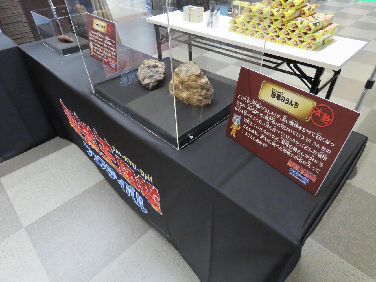 恐竜うんちの化石