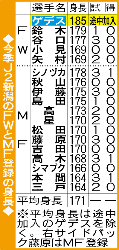 今季J2新潟のFWとMF登録の身長