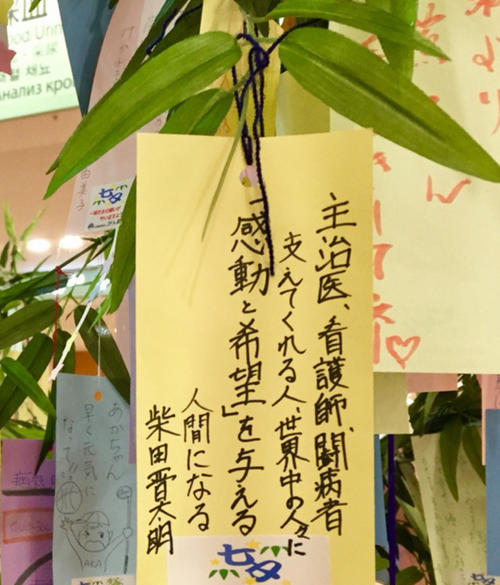 笹の葉に短冊、願いを