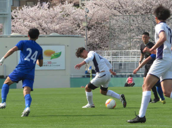桜が満開の西が丘でプレーする明大・佐藤恵允