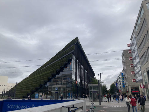 日本代表が活動しているデュッセルドルフ町並み