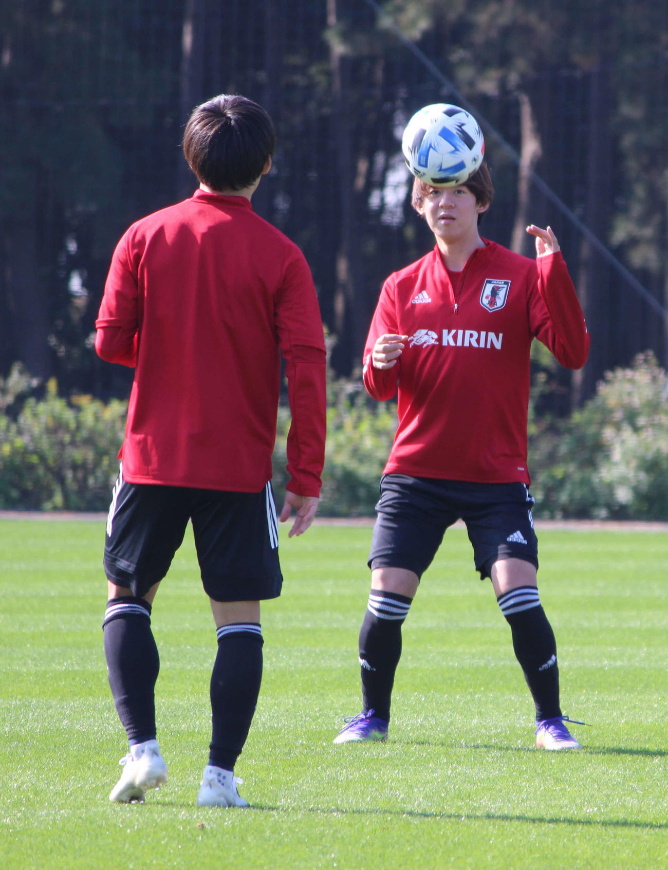 U－19日本代表候補合宿に参加中の東京V・MF山本理仁（右奥）