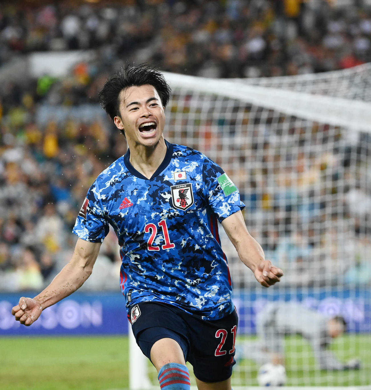 日本対オーストラリア　後半、ゴールを決め雄たけびを上げる三笘（撮影・横山健太）