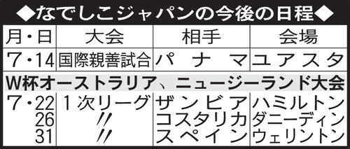 なでしこジャパンの今後の日程
