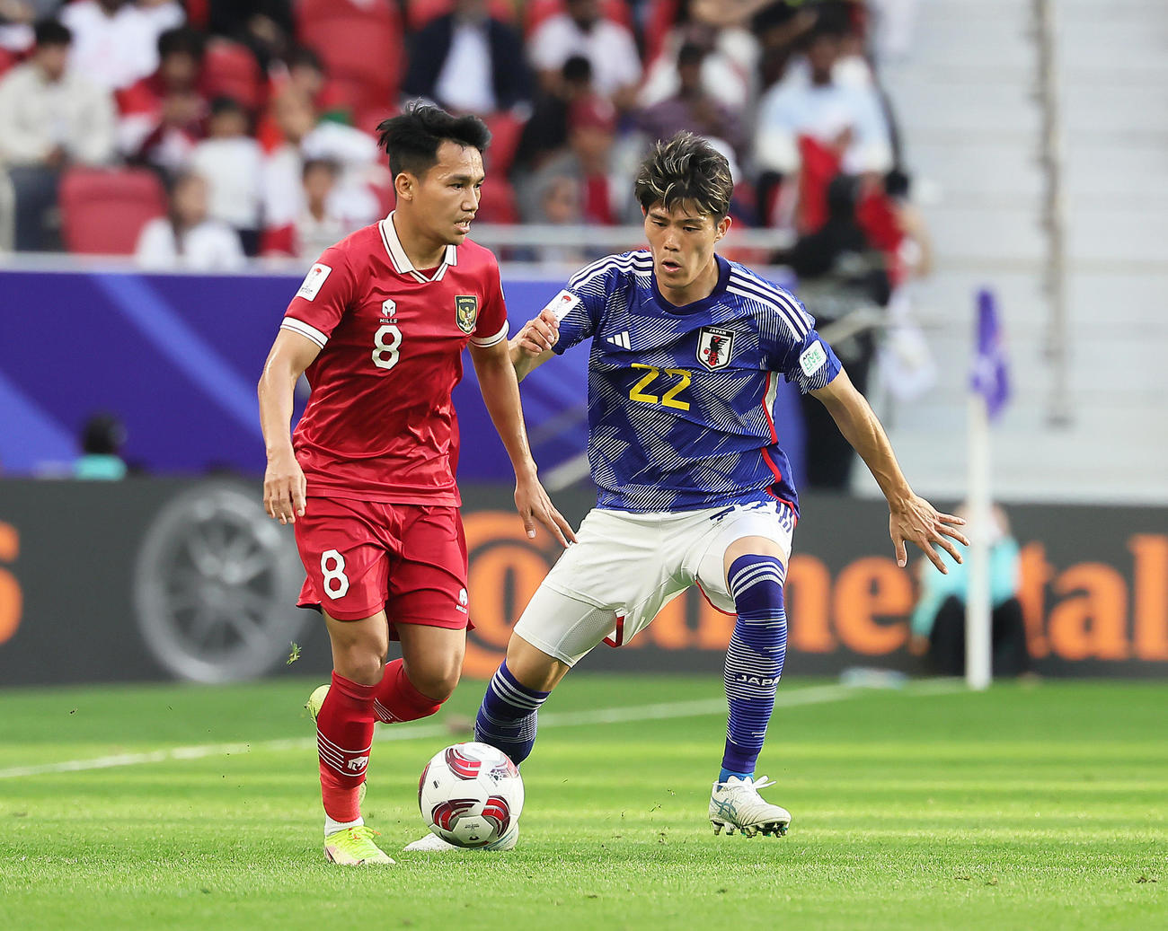 日本対インドネシア　後半、相手と競り合う冨安（右）（撮影・足立雅史）