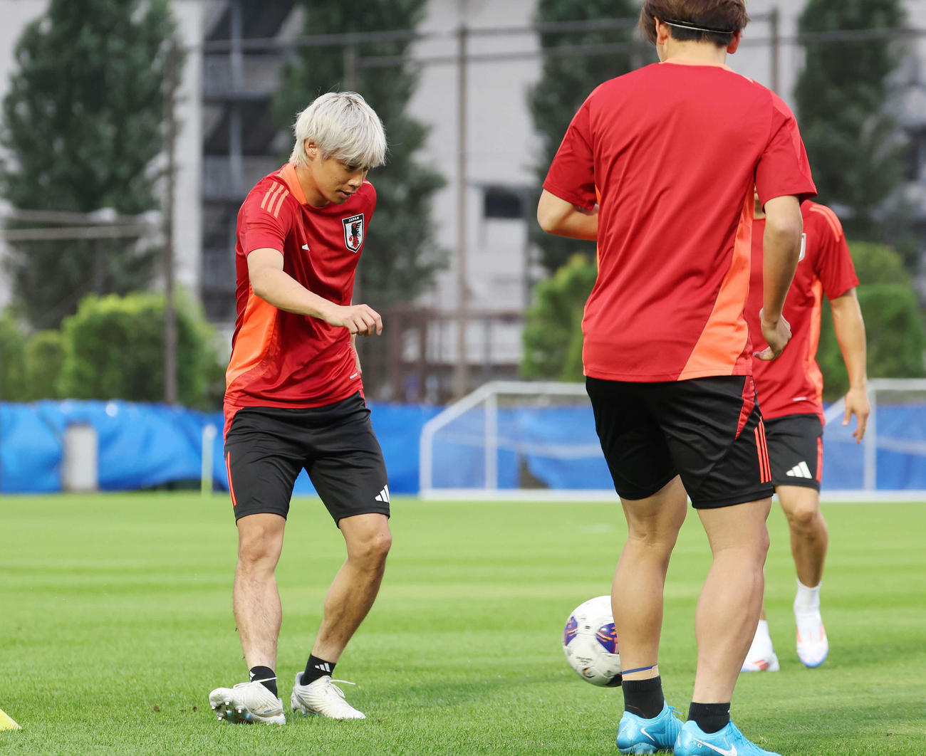 練習に臨む伊東（撮影・宮地輝）