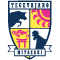 テゲバジャーロ宮崎のロゴ
