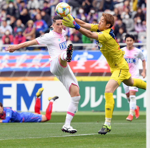 東京GK林（右）、鳥栖FWフェルナンドトーレス（2019年3月10日撮影）