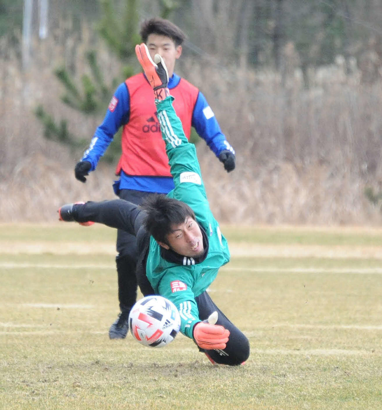 実戦練習でシュートに飛びつく新潟GK大谷