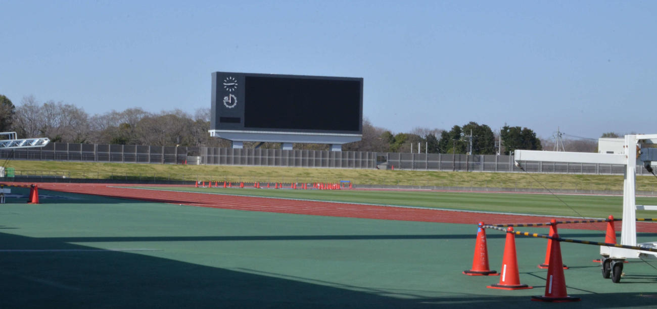 芝生になっている相模原ギオンスタジアムのゴール裏（撮影・松尾幸之介）