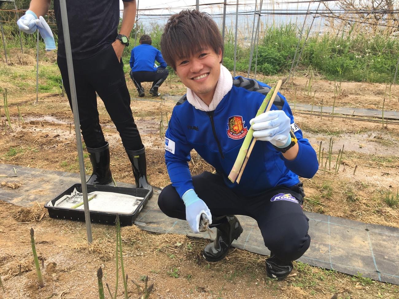 アスパラガスを収穫する福島MF田村（J3福島提供）