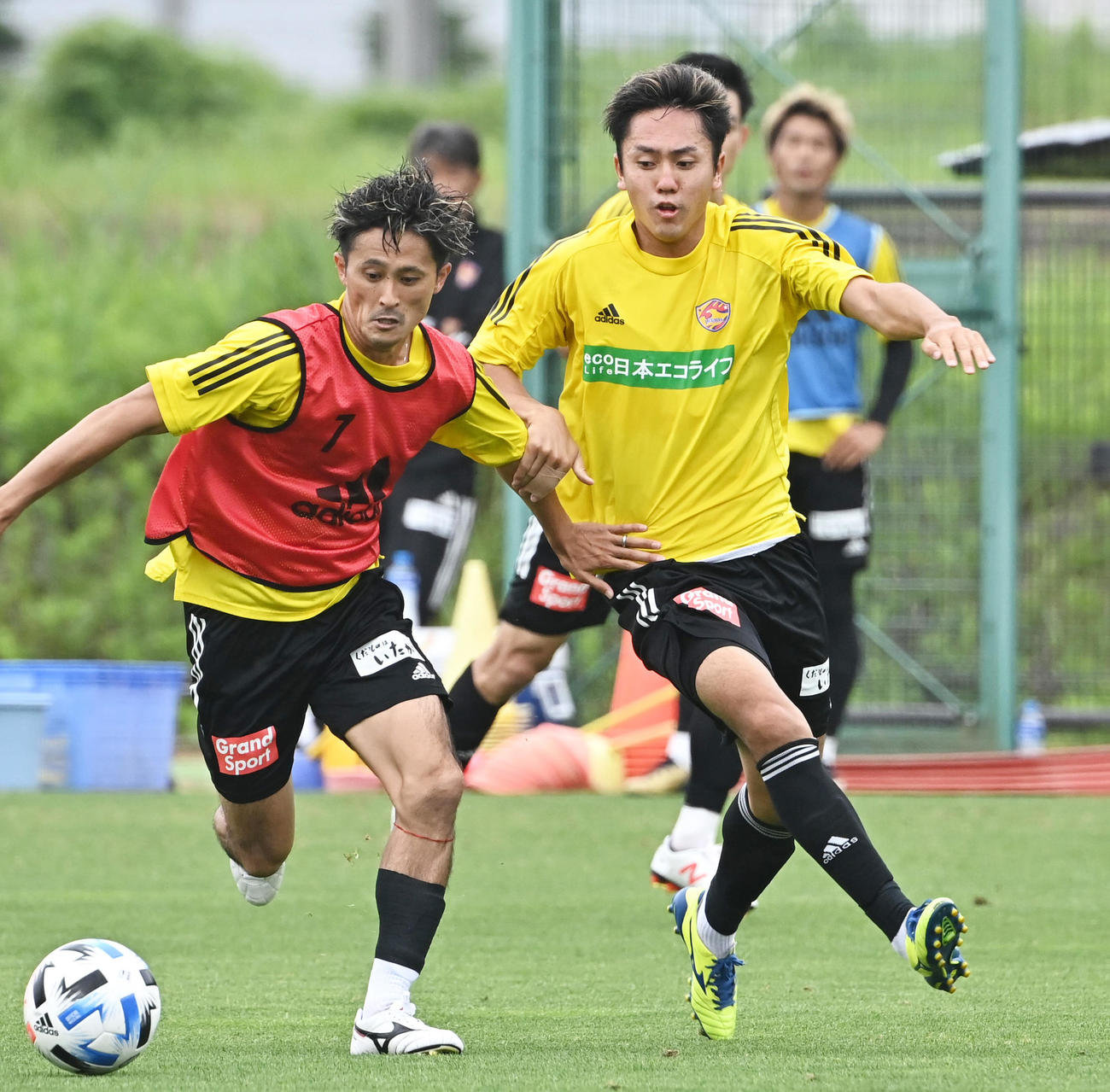 激しく競り合う仙台DF吉野（右）とMF関口（代表撮影）
