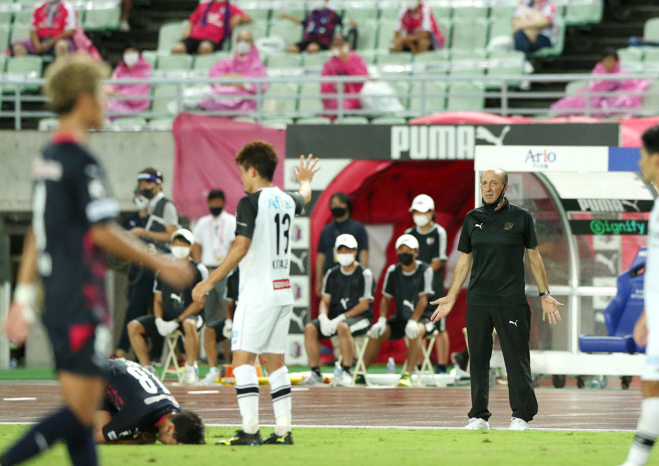 C大阪のロティーナ監督（右）は手を広げてピッチを見る（撮影・上山淳一）