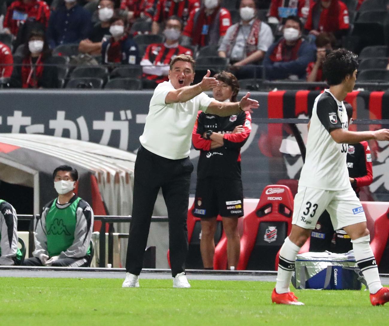 札幌対柏　選手に指示を出すペトロビッチ監督（撮影・黒川智章）