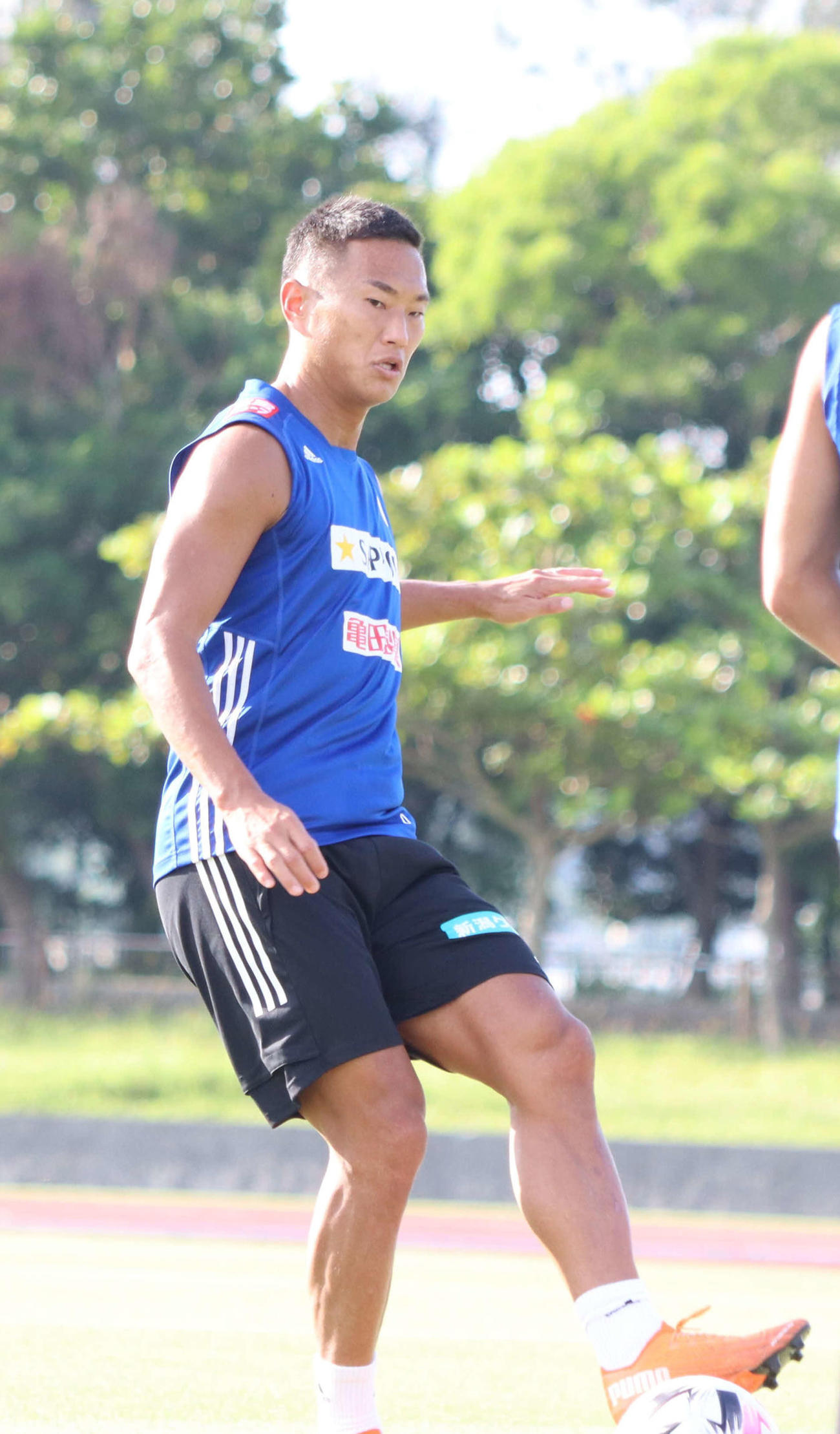 ゴールを狙うFW鄭大世(C)ALBIREX　NIIGATA