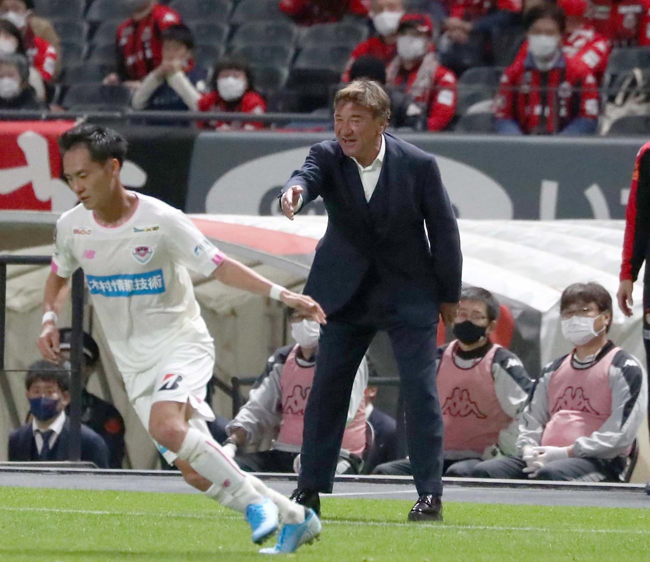 札幌対鳥栖　指示を出すペトロビッチ監督（撮影・黒川智章）