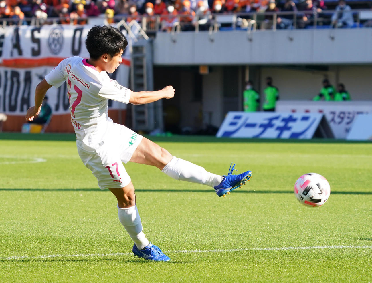 C大阪MF坂元達裕（2020年11月14日撮影）