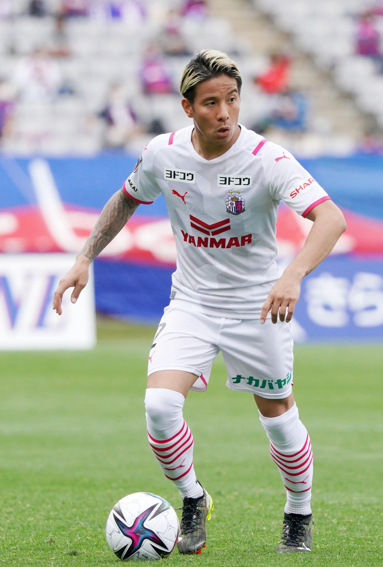 C大阪DF松田陸（2021年3月6日撮影）