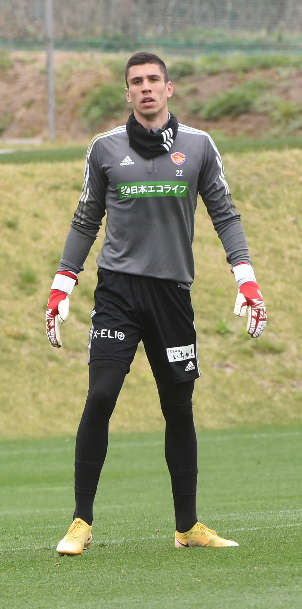 練習を見守る仙台GKストイシッチ（撮影・山田愛斗）
