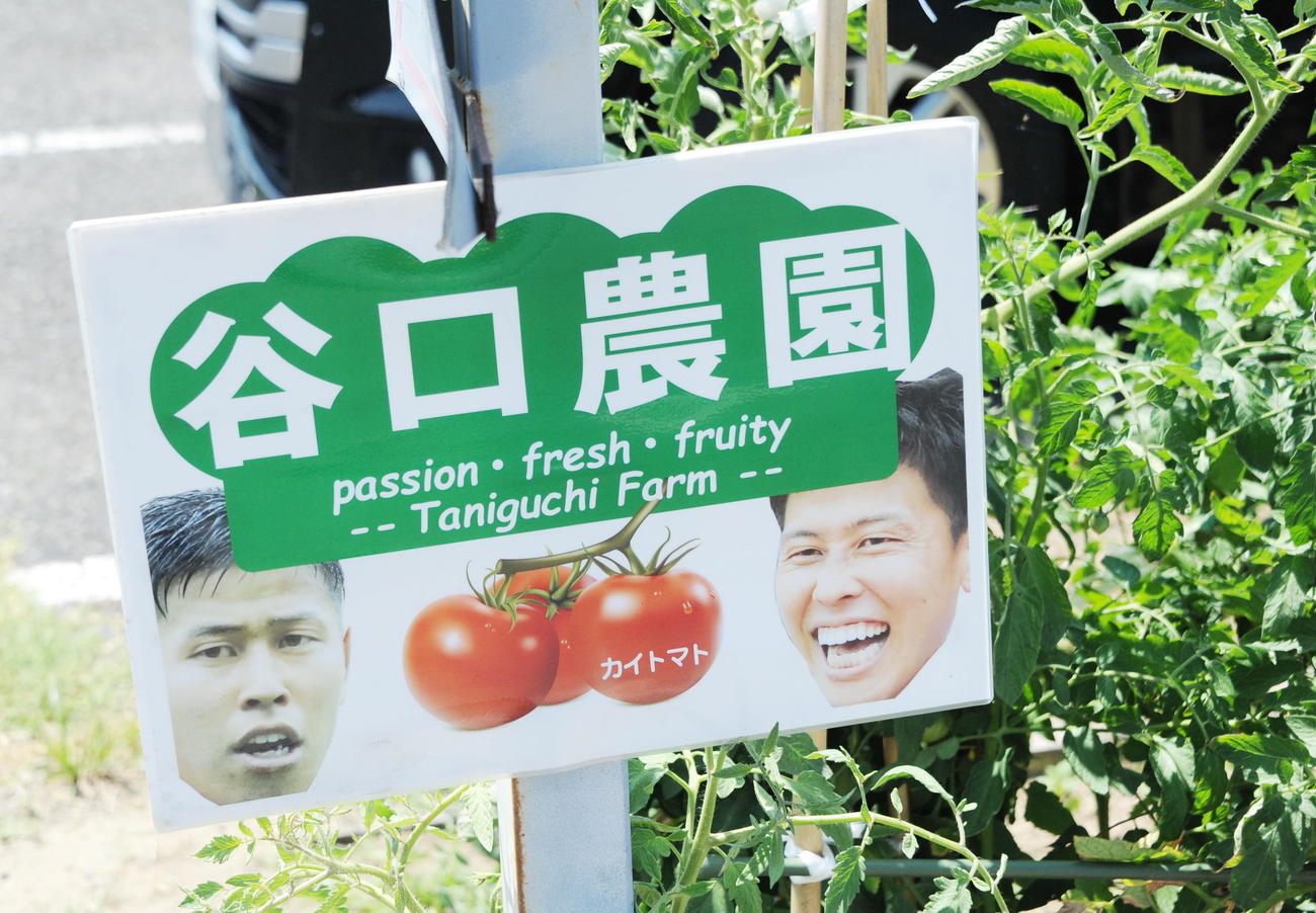 谷口がクラブハウス前で5月に開園した「谷口農園」の看板