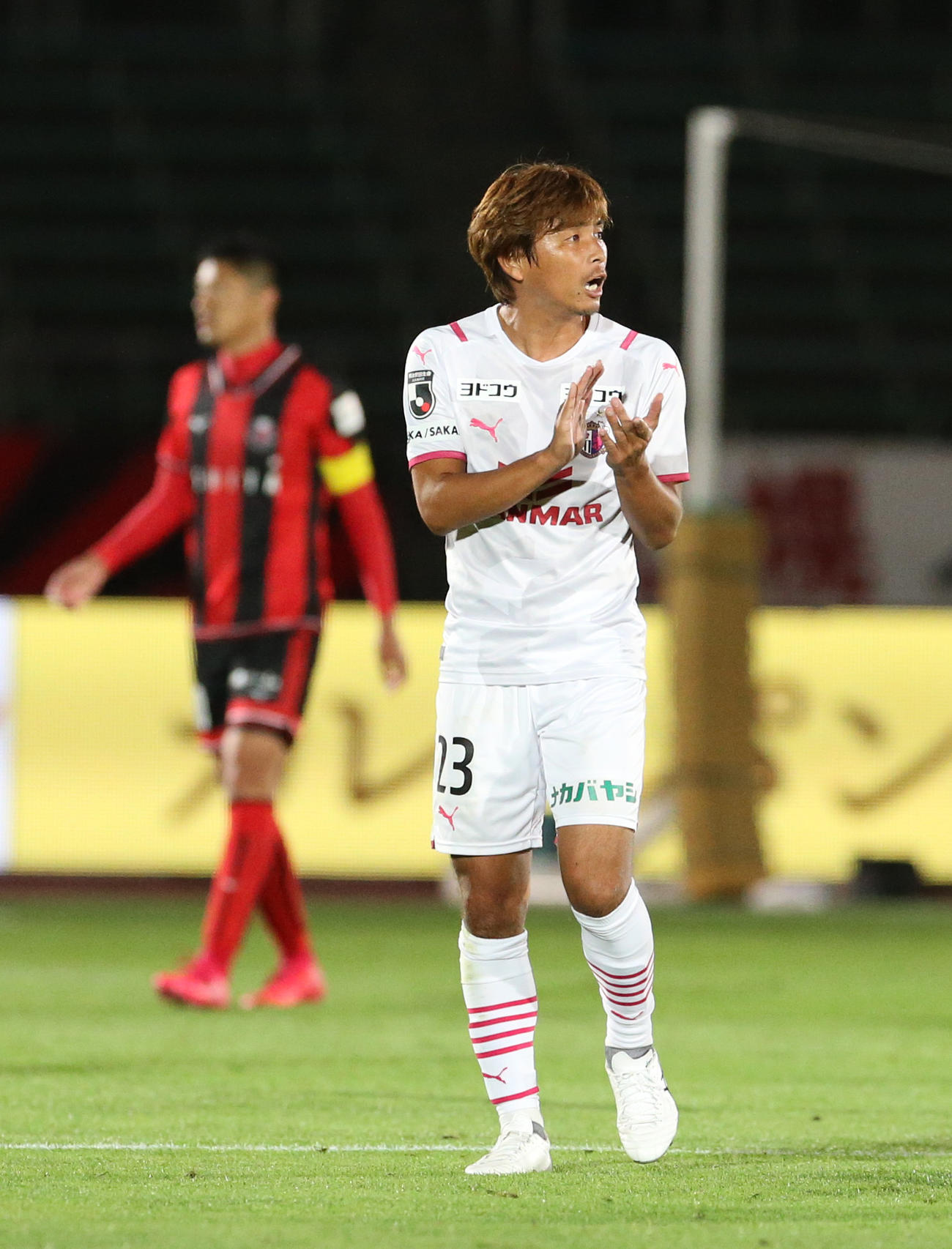札幌対C大阪　後半、C大阪松田力のゴールに手をたたく乾（撮影・佐藤翔太）
