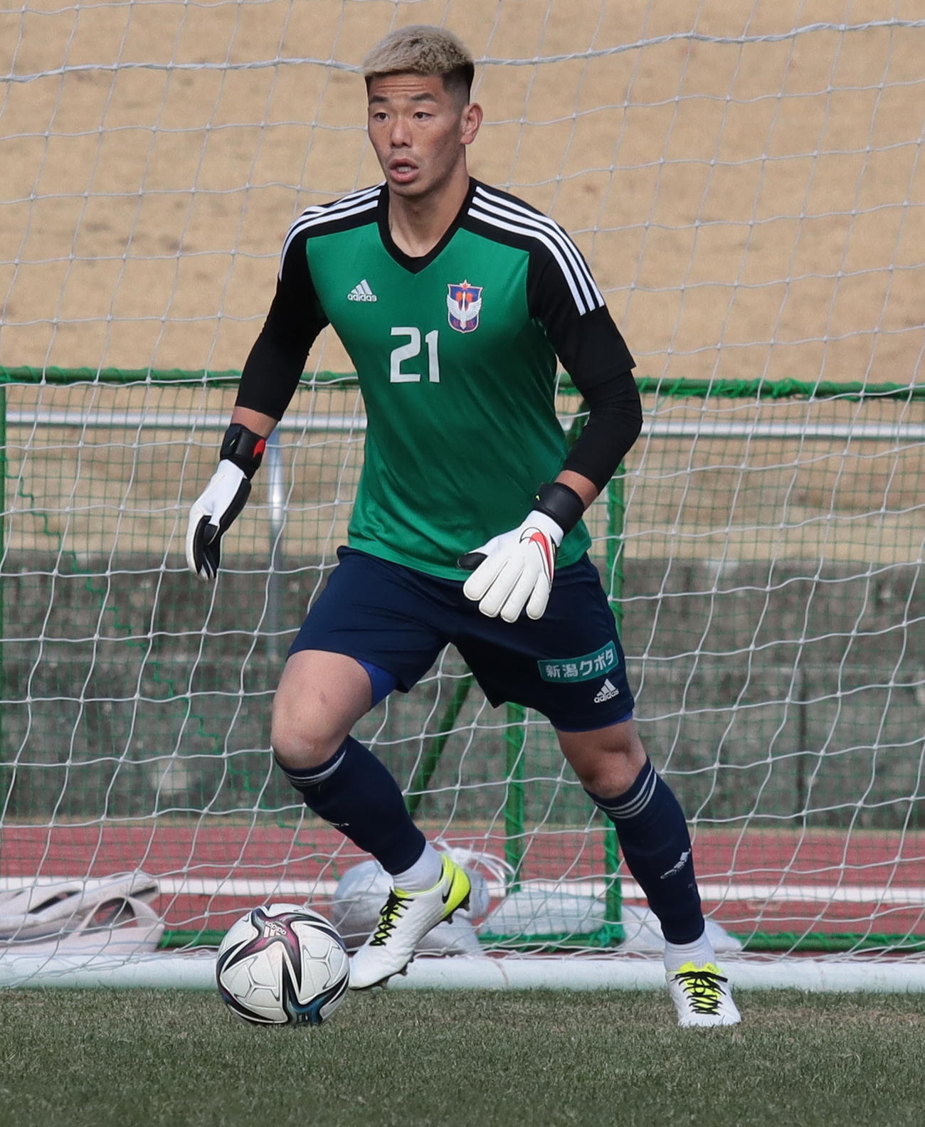 練習試合に出場する阿部（アルビレックス新潟提供）