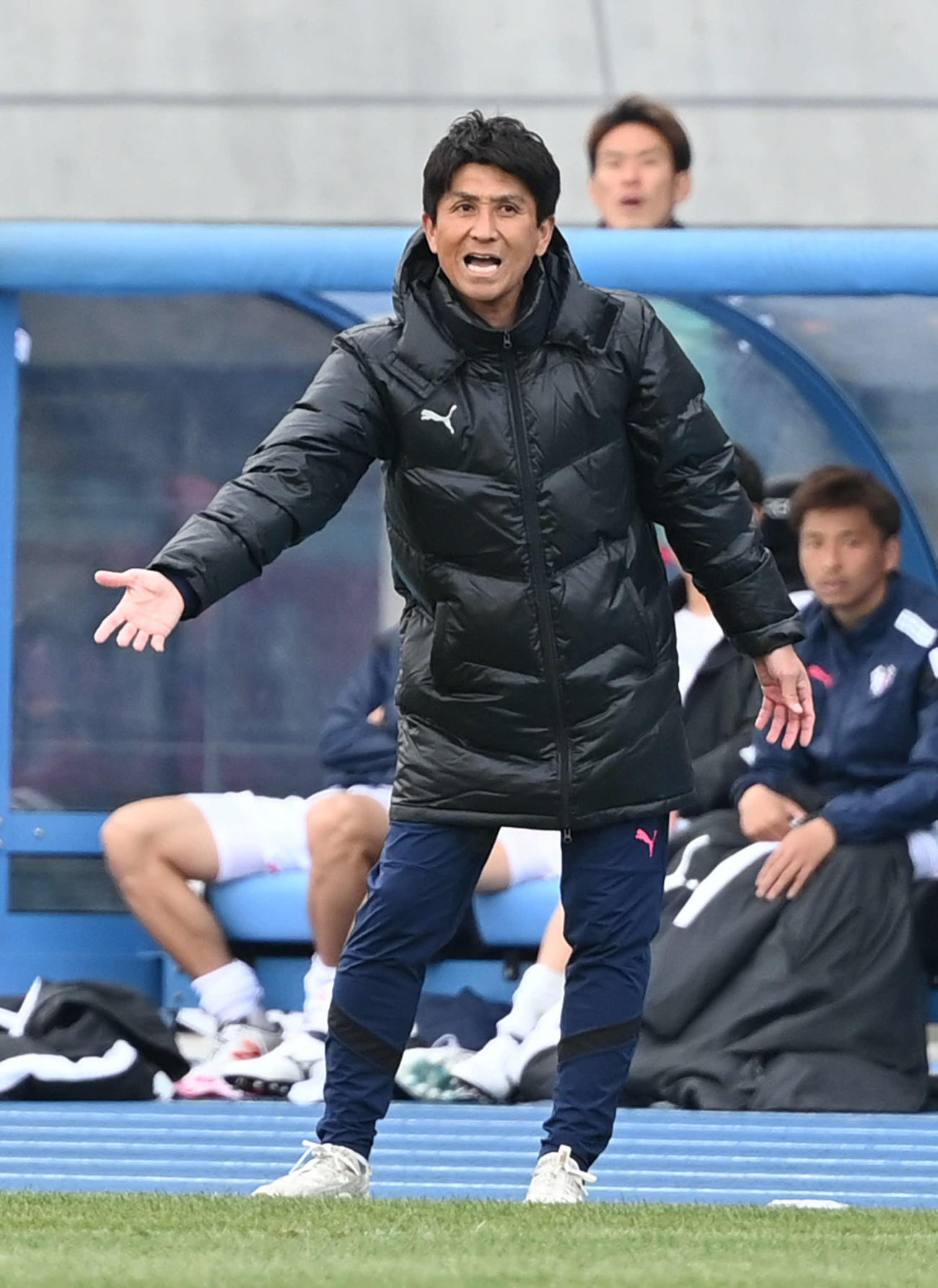 川崎F対C大阪　後半、大声で指示を出すC大阪小菊監督（撮影・山崎安昭）