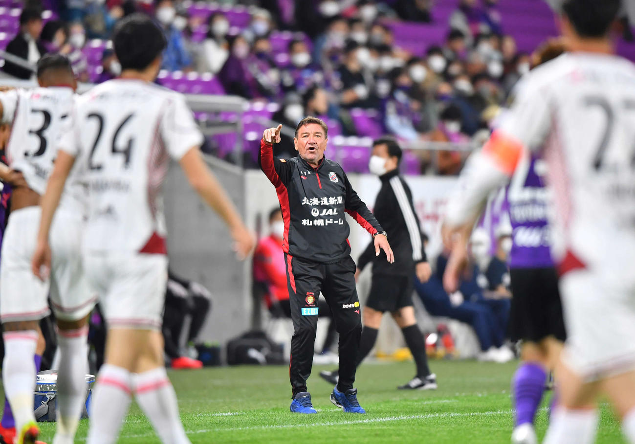 京都対札幌　前半、選手に指示を出す札幌ペトロビッチ監督（撮影・清水貴仁）
