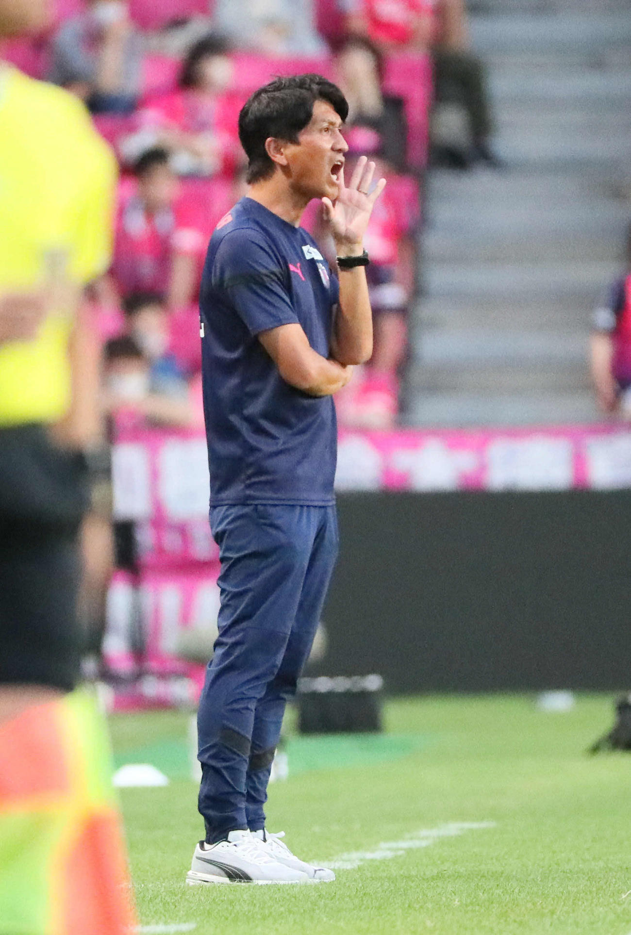 C大阪対名古屋　前半、ベンチから指示を出すC大阪小菊監督（撮影・宮崎幸一）