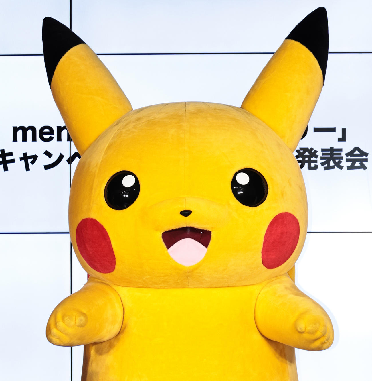 本物？のポケットモンスターのピカチュウ（2022年2月撮影）