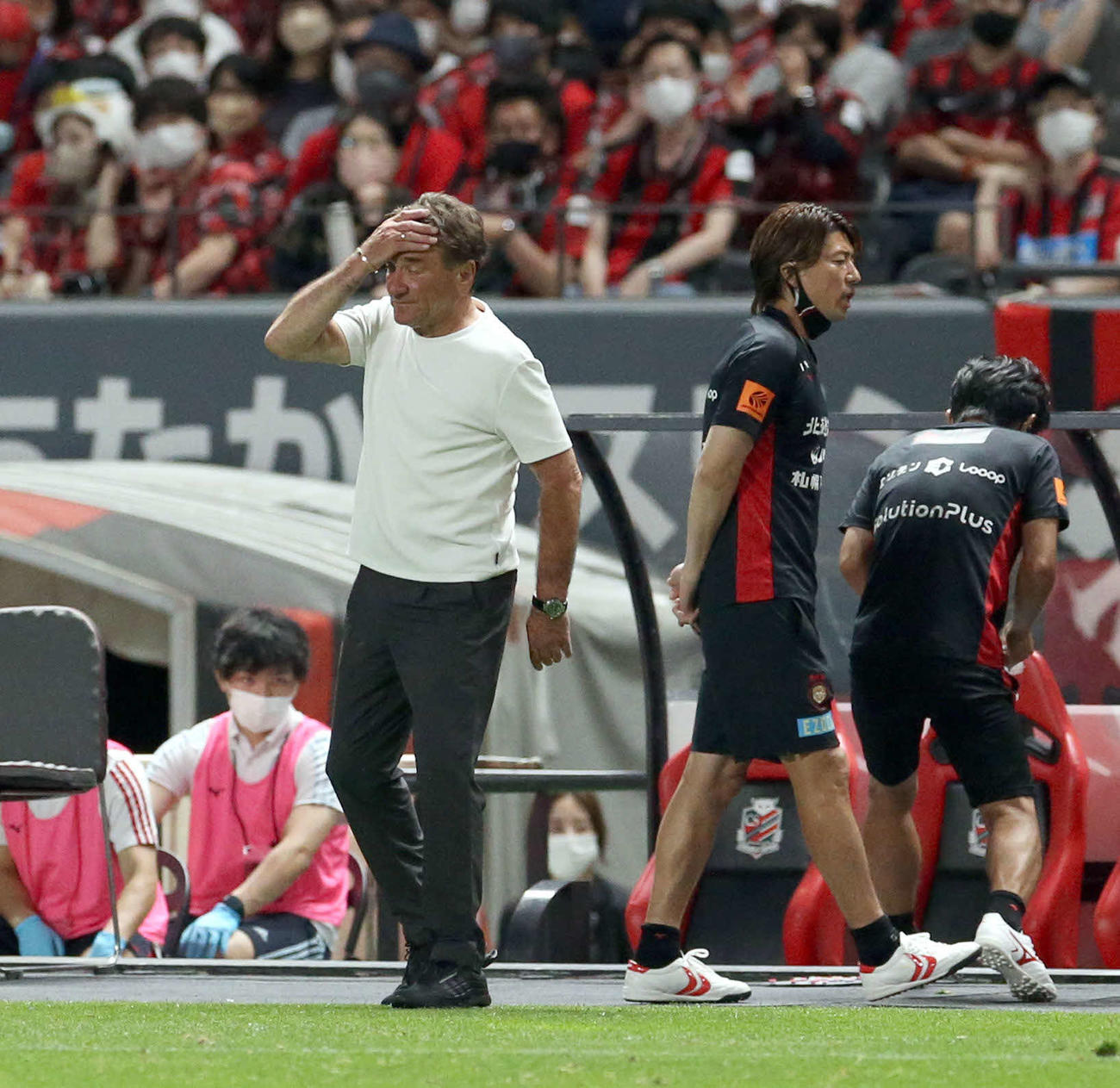 札幌対神戸　頭をかかえる札幌ペトロビッチ監督（撮影・佐藤翔太）