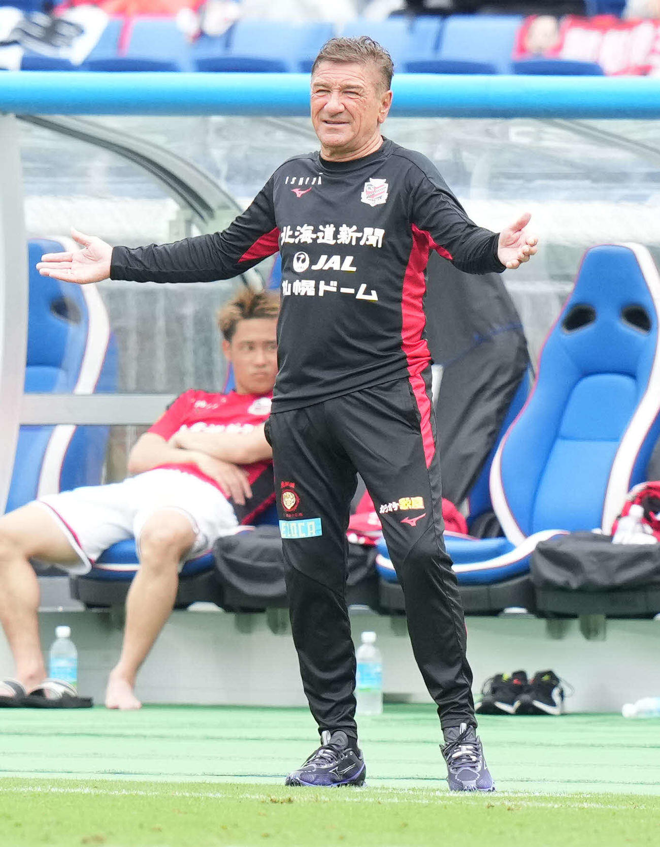 横浜対札幌　後半、両手を広げる札幌ペトロビッチ監督（撮影・鈴木みどり）