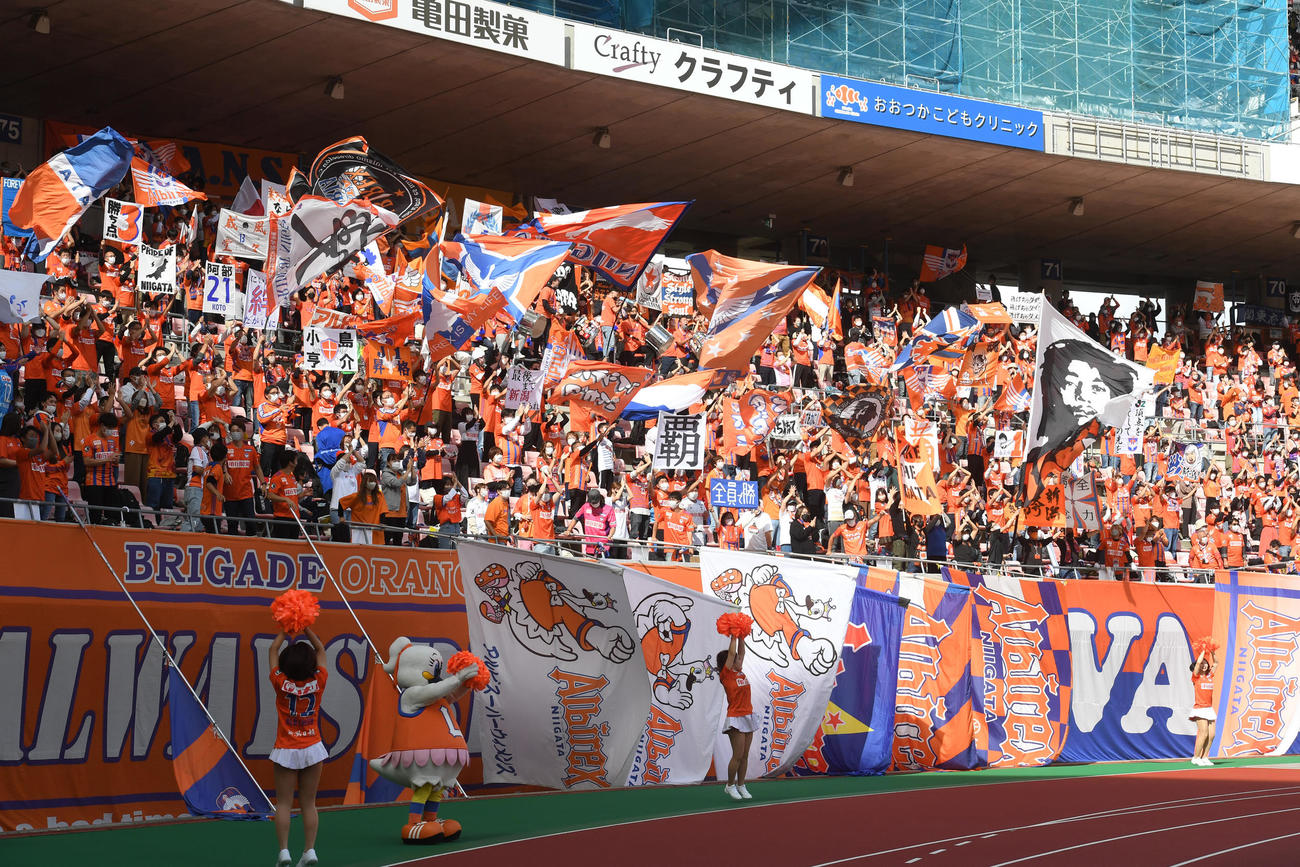 新潟対仙台　　新潟サポーターの応援（撮影・柴田隆二）