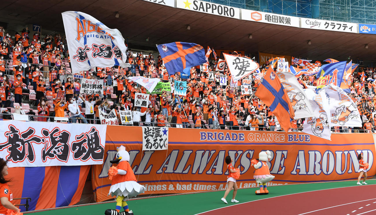 新潟対仙台　　新潟サポーターの応援（撮影・柴田隆二）