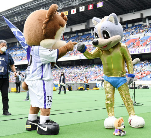 甲府対広島　試合前、タッチを交わすサンチェくん（左）とヴァンくん（撮影・横山健太）