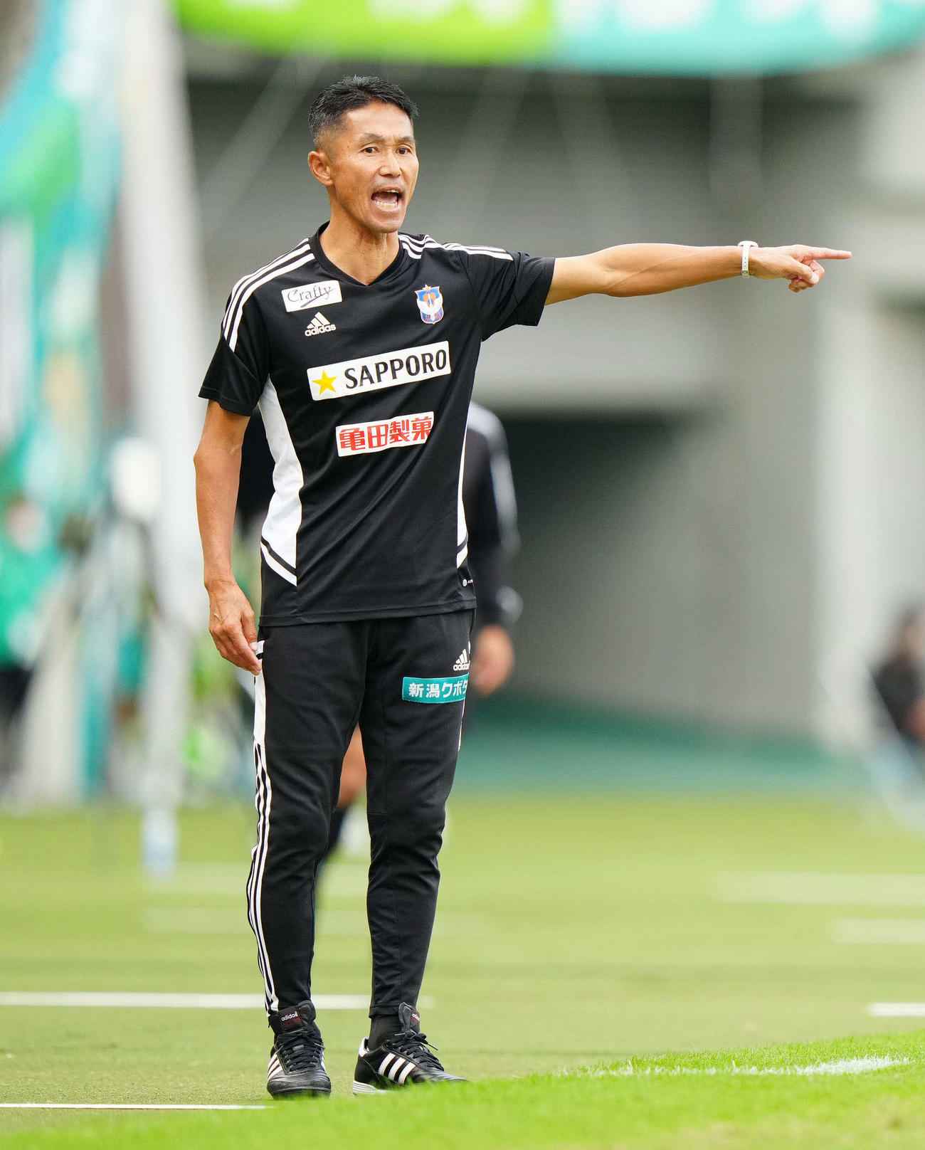 15日の東京ヴェルディ戦で指示を出す新潟松橋監督