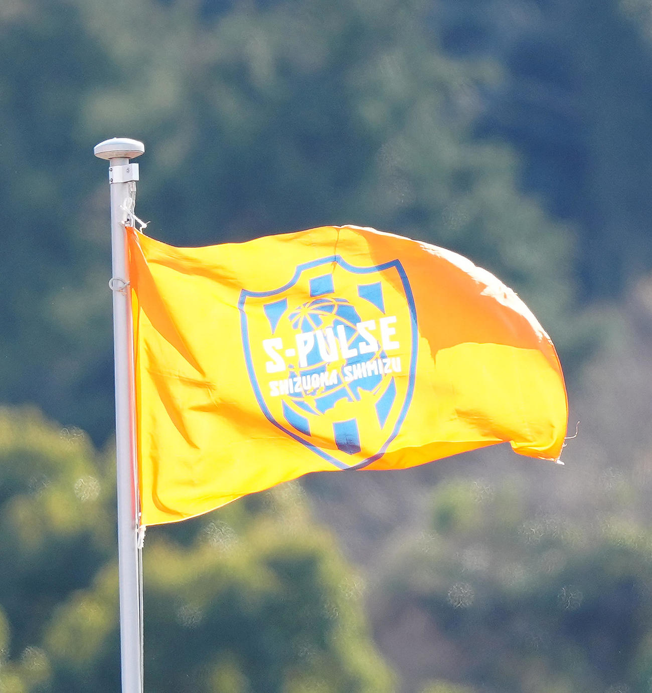 清水エスパルス