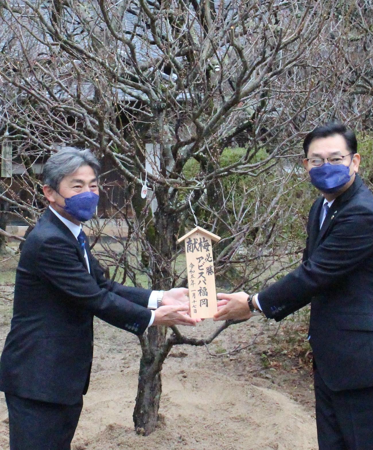 勝運上昇祈願で太宰府天満宮を訪れ、梅の木を植樹した福岡の長谷部茂利監督（左）（撮影・菊川光一）