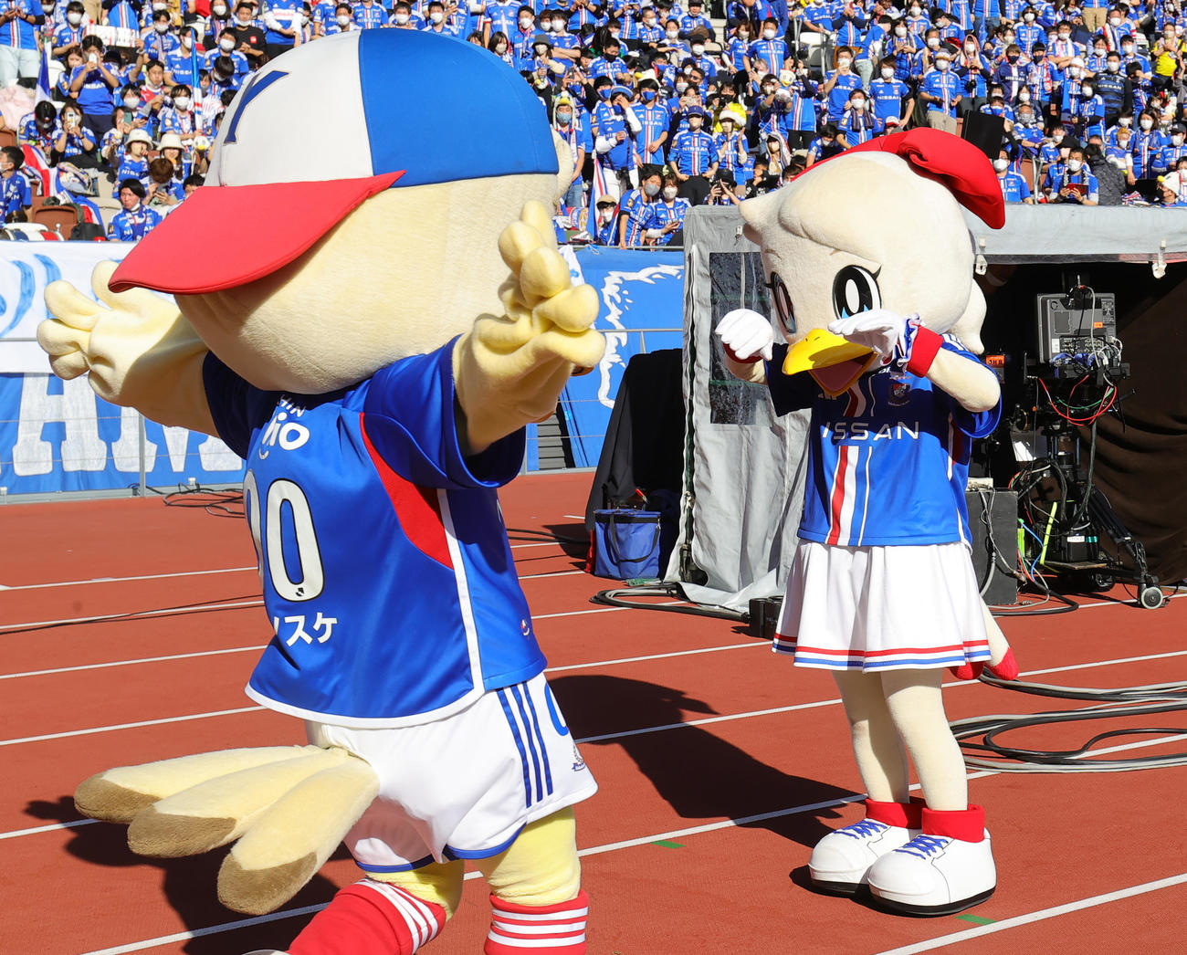 横浜対甲府　Jリーグマスコット総選挙で優勝し、マリノスケ（左）に祝福される横浜のマリン（撮影・野上伸悟）