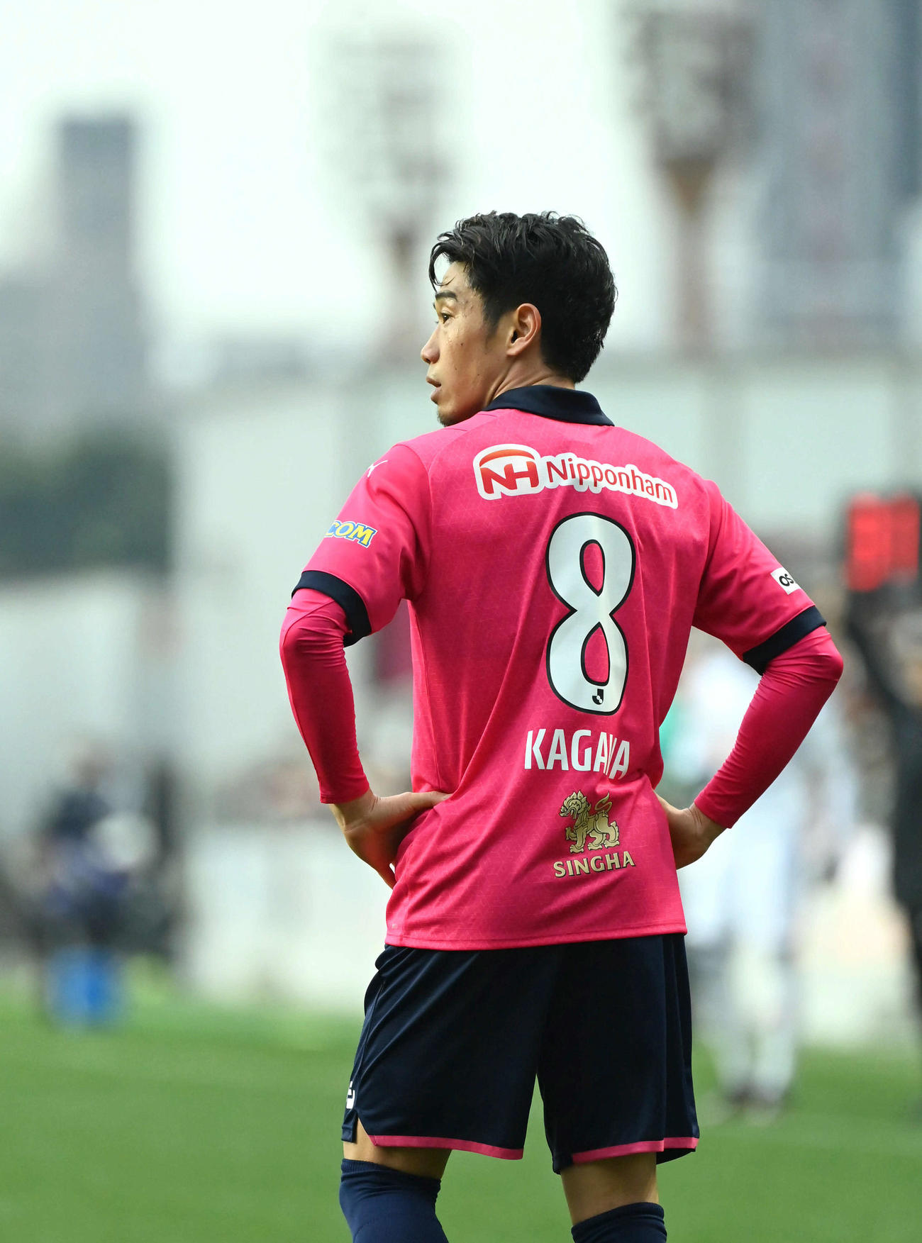 背番号8のユニホームで後半戦に出場したC大阪香川（撮影・石井愛子）