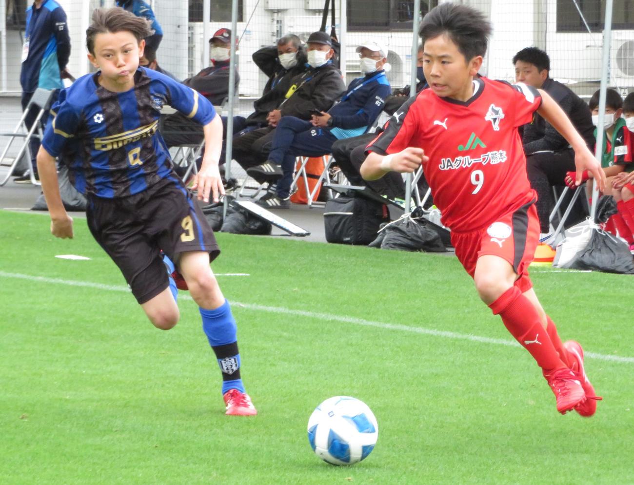 決勝で華麗なドリブルで駆け上がるロアッソ熊本ジュニアの馬場勇一郎（右）（撮影・峯岸佑樹）