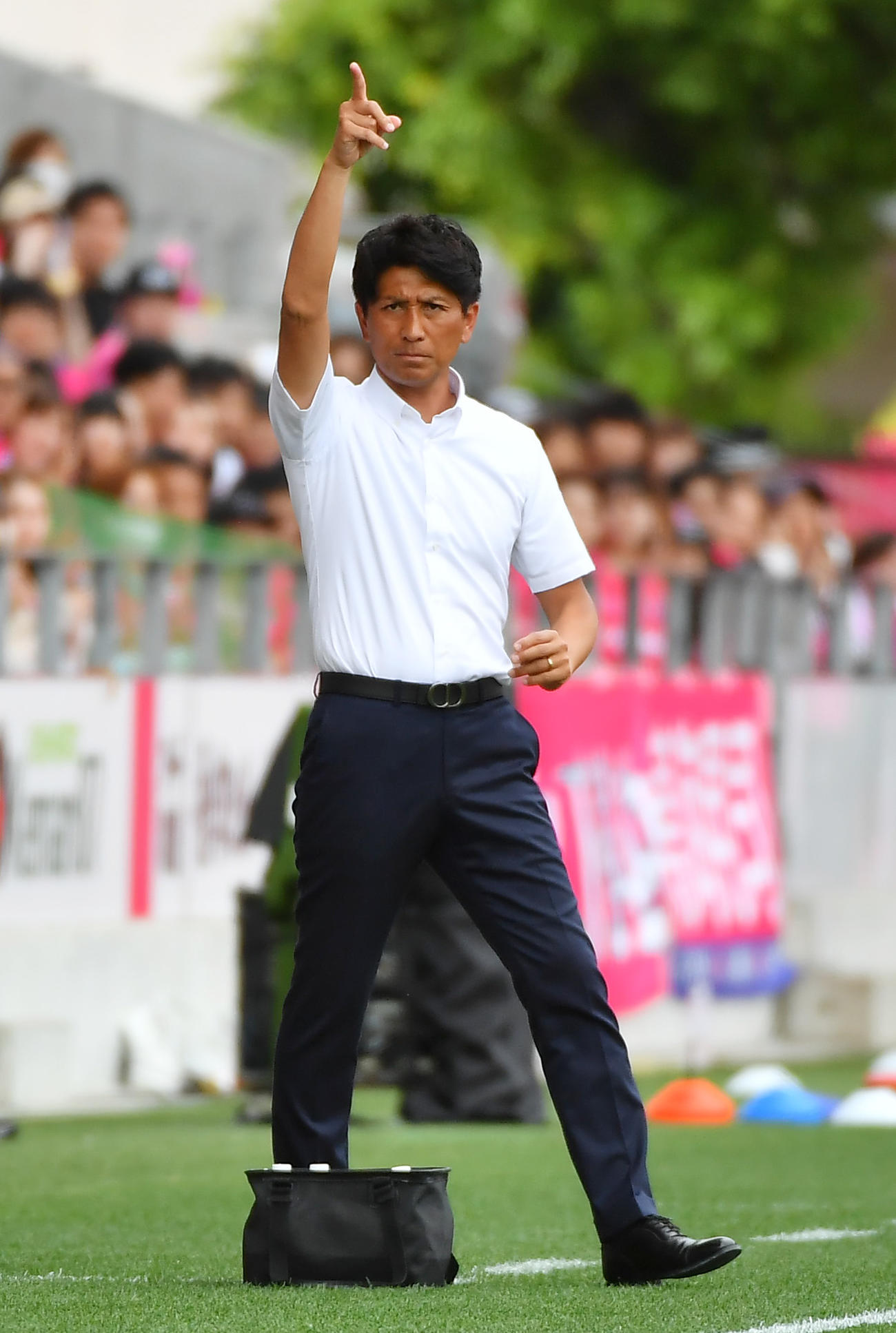 C大阪対横浜FC　後半、指示を出すC大阪の小菊監督（撮影・清水貴仁）