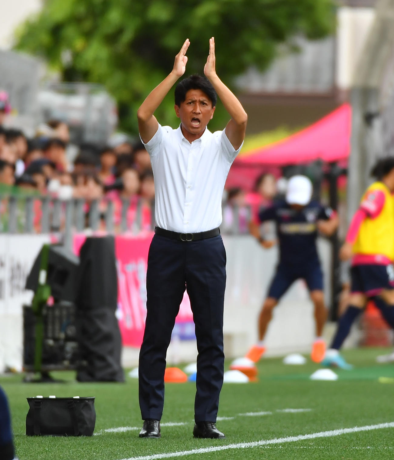 C大阪対横浜FC　後半、味方選手のプレーに拍手を送るC大阪の小菊監督（撮影・清水貴仁）