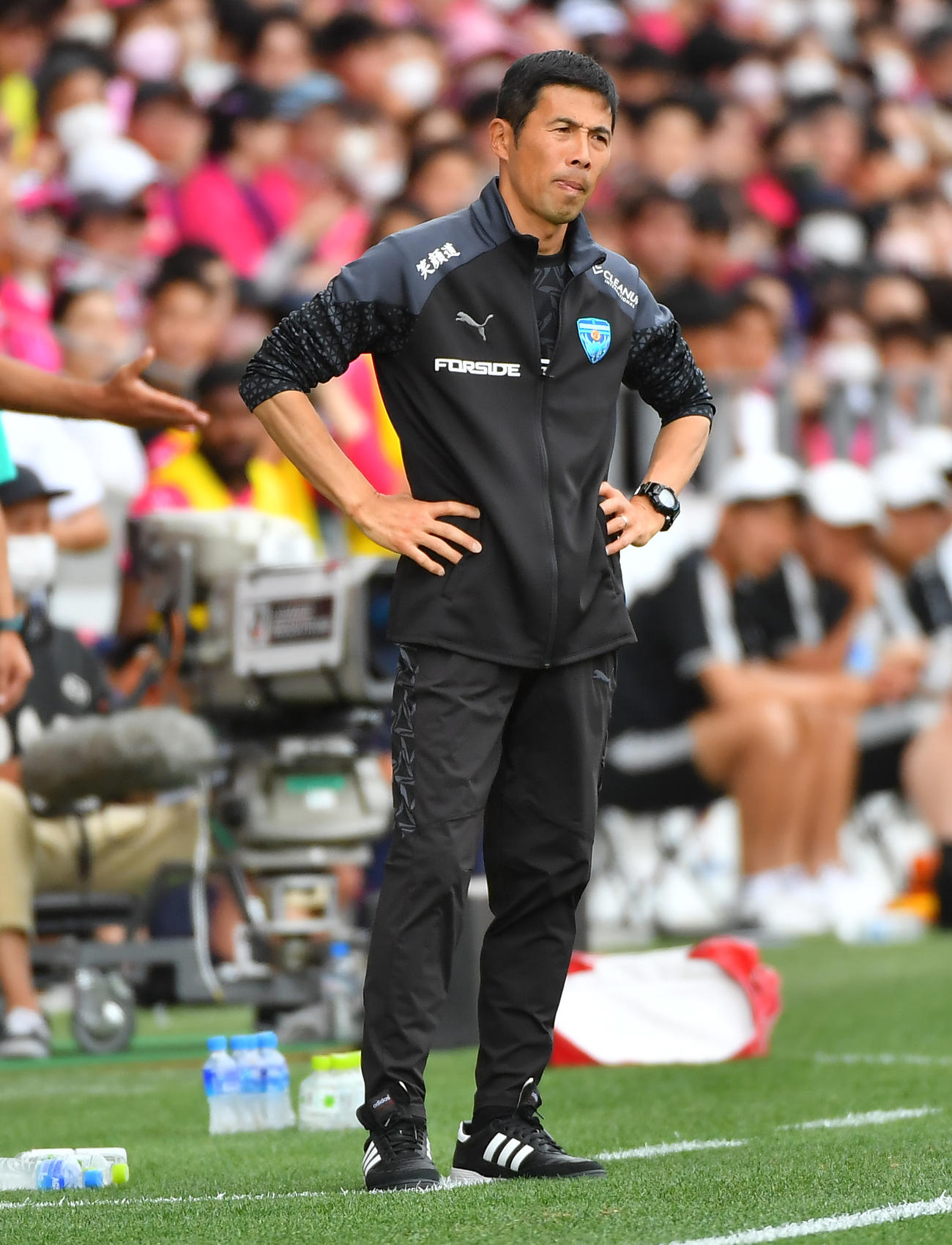 C大阪対横浜FC　後半、厳しい顔で戦況をみつめる横浜FC四方田監督（撮影・清水貴仁）