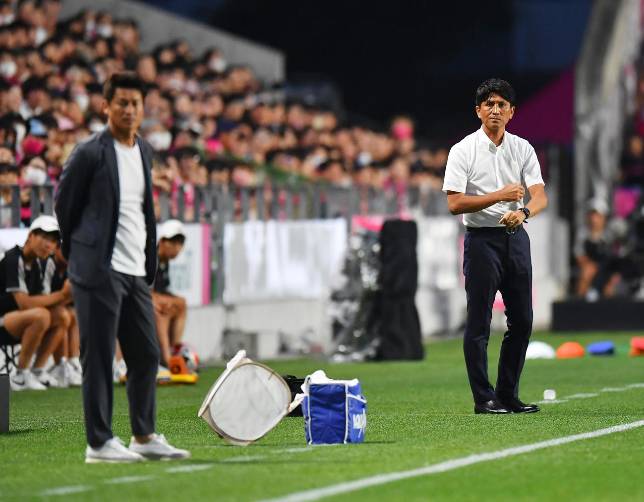 前半、C大阪小菊監督（右）と神戸吉田監督（撮影・清水貴仁）