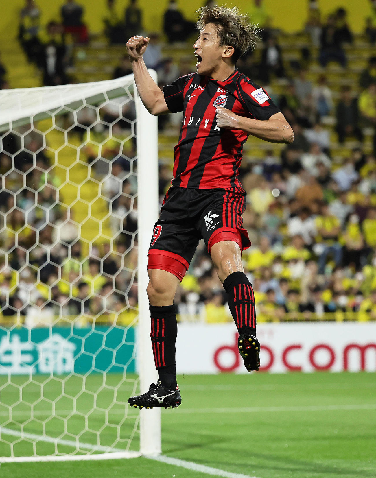 柏対札幌　後半、ゴールを決め、ジャンプして喜ぶ札幌金子（2023年6月3日撮影）