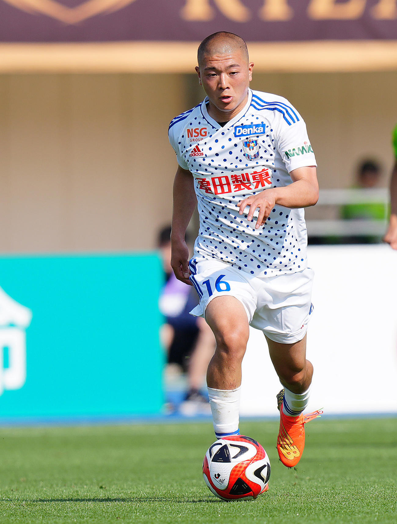 新潟小見洋太（2023年6月撮影）