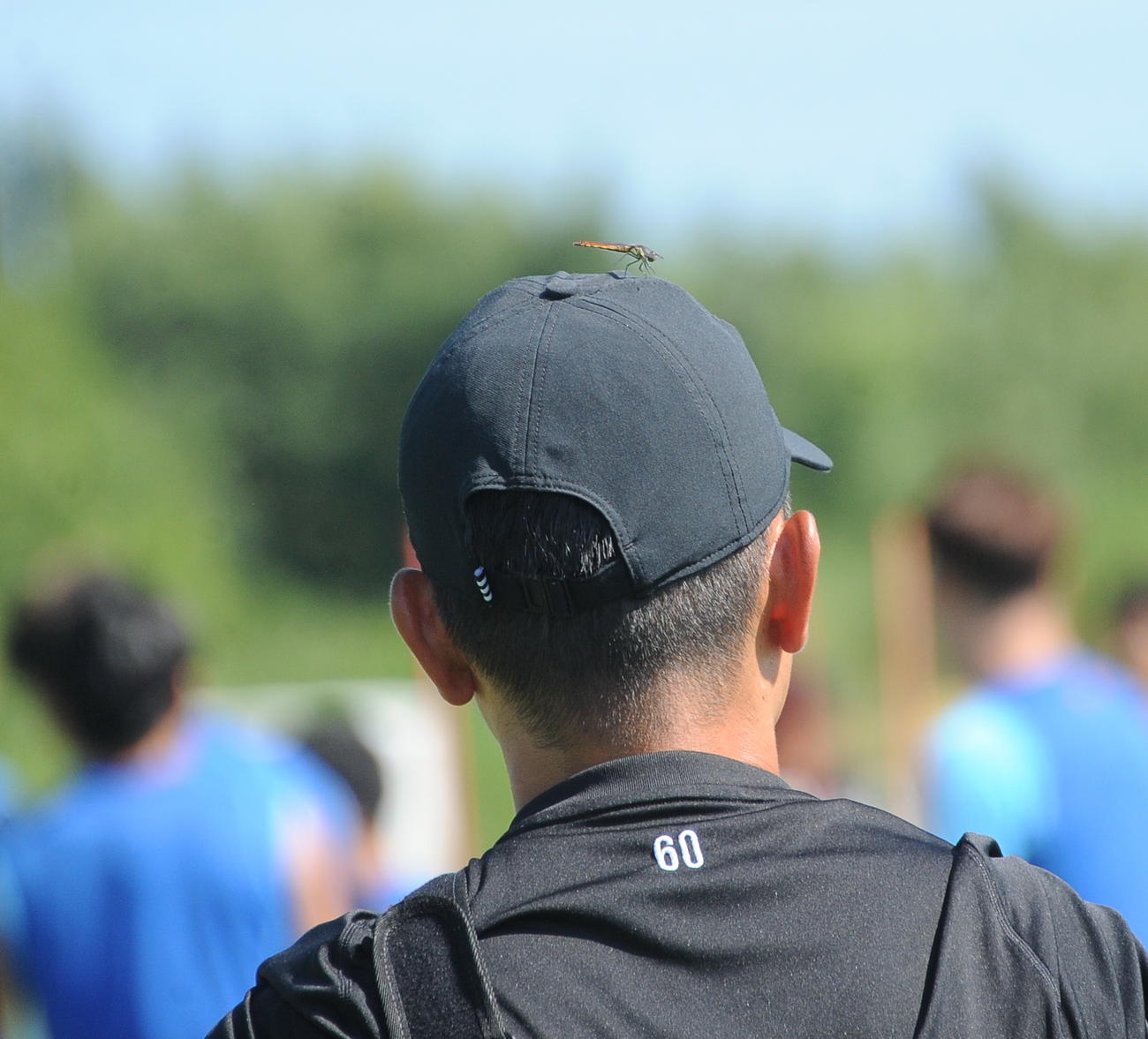 勝ち虫ともいられるトンボがスタッフの被る帽子にとまる