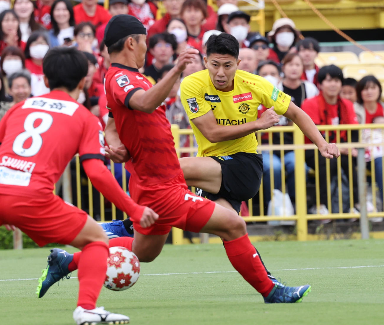 熊本対柏　前半、シュートを放つ柏細谷（撮影・野上伸悟）