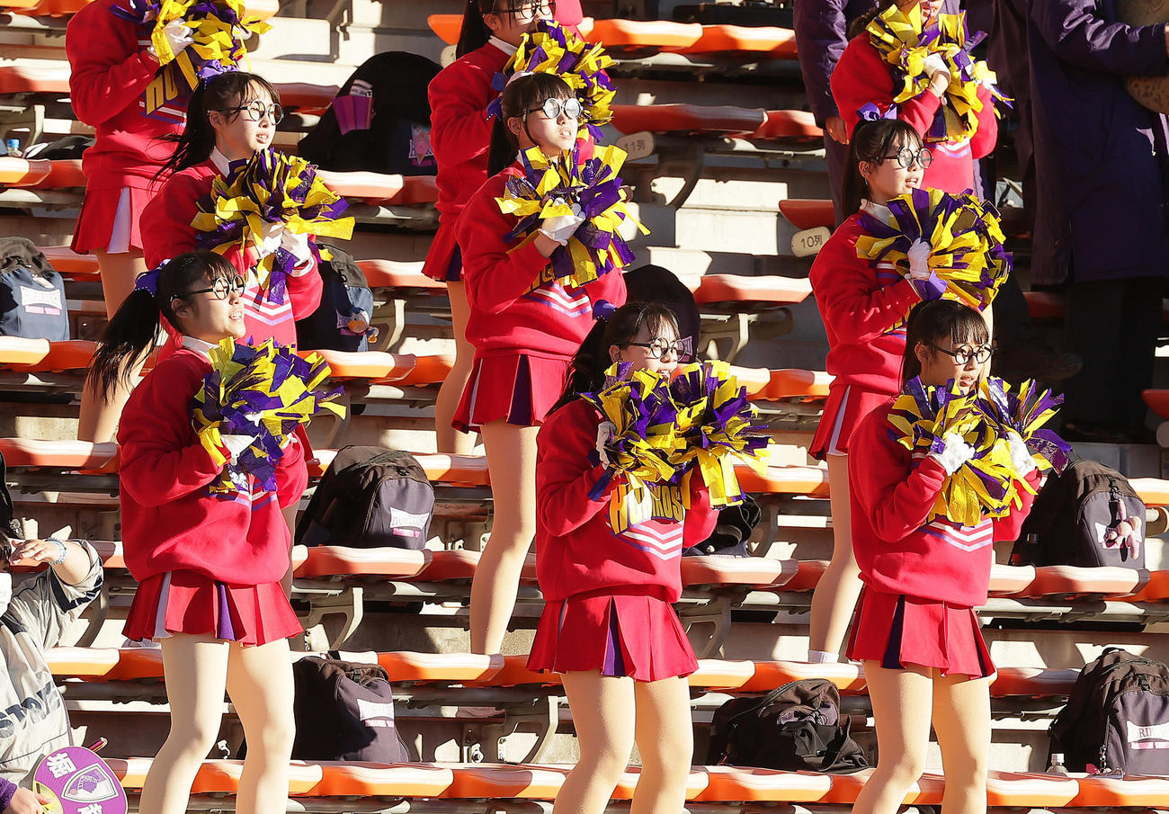 堀越対佐賀東　メガネをかけ新しい学校のリーダーズの「オトナブルー」に合わせ踊る堀越のチア（撮影・足立雅史）